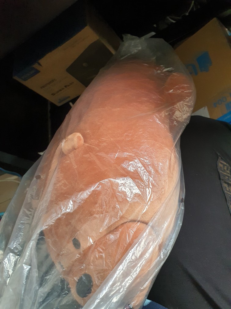 Miniso We Bare Bears Plush Toy Jumbo. Size 80cm