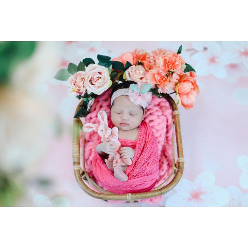 BABY PROPERTY / KERANJANG FOTO BAYI / PHOTOSHOOT BABY NEW BORN (made by order)