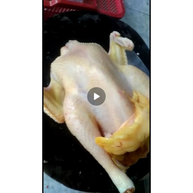 

Ayam Kampung