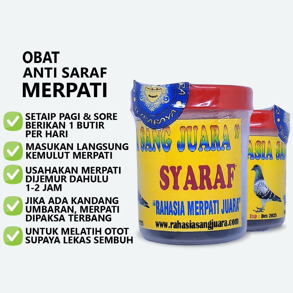 OBAT SYARAF MERPATI | OBAT TETELO MERPATI SAYAP TURUN LUMPUH KAKI PADA BURUNG MERPATI