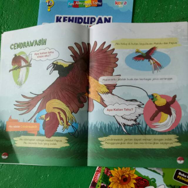 Paket buku pengayaan tk/paud seri aku ingin tahu satu paket isi 8 buku penerbit keira