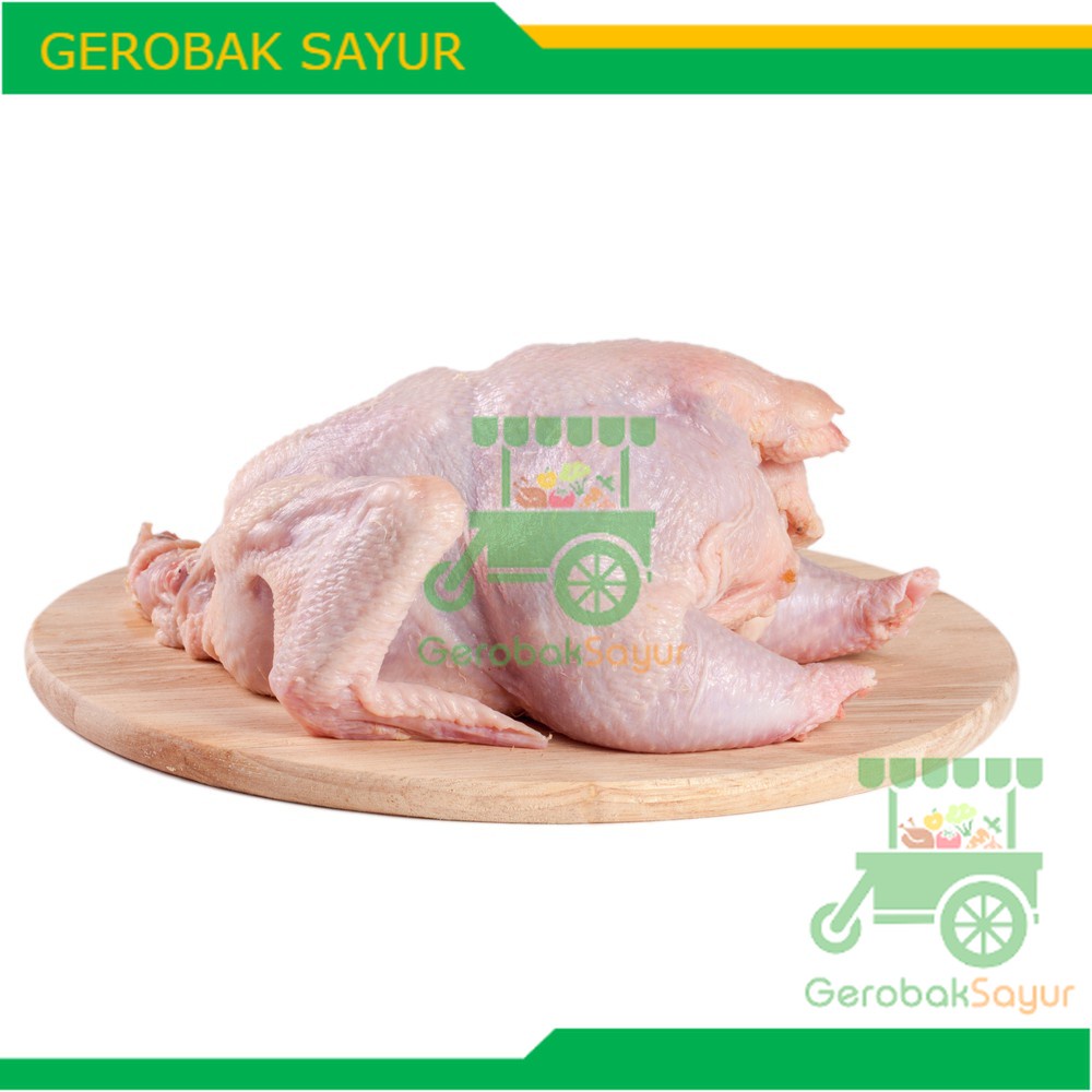 

Ayam Utuh Segar 1 - 1.2 kg / Ayam Karkas / Ayam Broiler / Ayam Segar / Ayam Potong