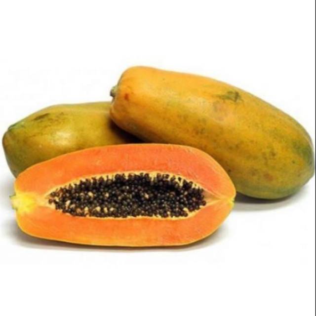 

Pepaya California / Pepaya Calina 1 buah