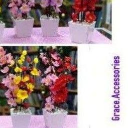 

← Pohon imlek meihua angpao 30 cm murah sakura ⅎ