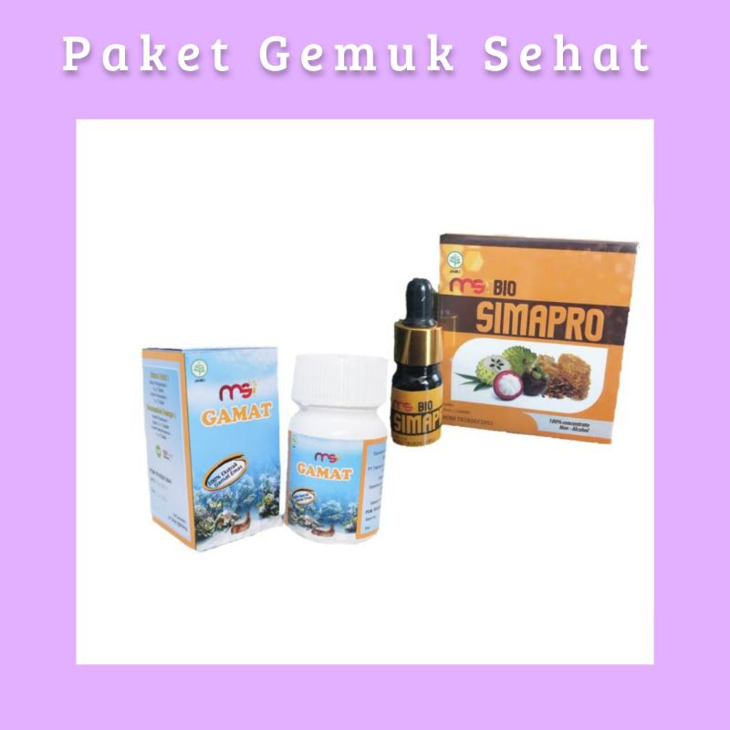 MSI Paket Gemuk Sehat {Simapro & Gamat}