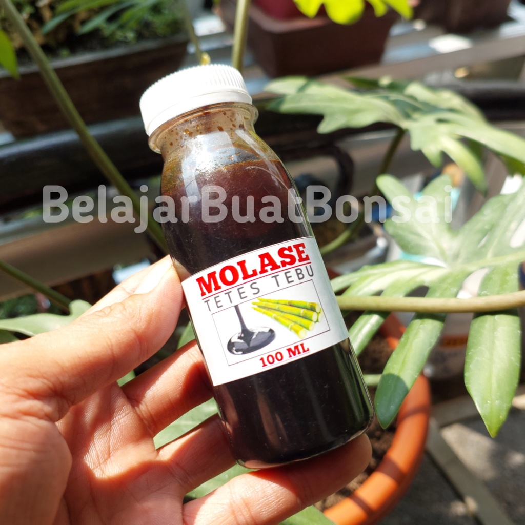 Molase Tetes Tebu Murni Kemasan 100ml