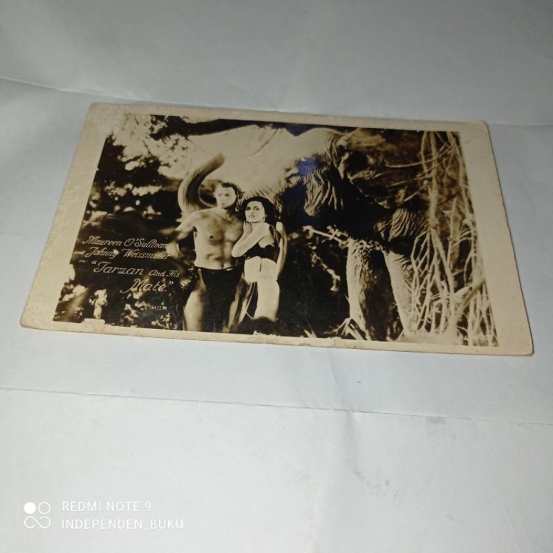 

POST CARD LAMA