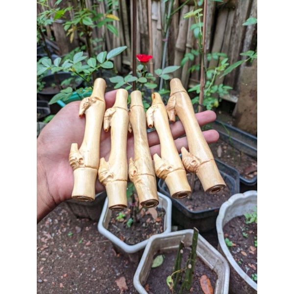 ONCE KAYU KEMUNING GADING