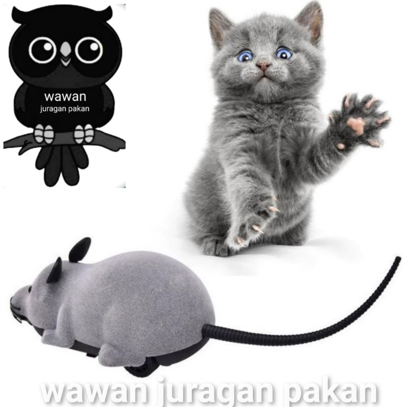 MAINAN KUCING TIKUS CIT CIT, BUNYI CIT CIT