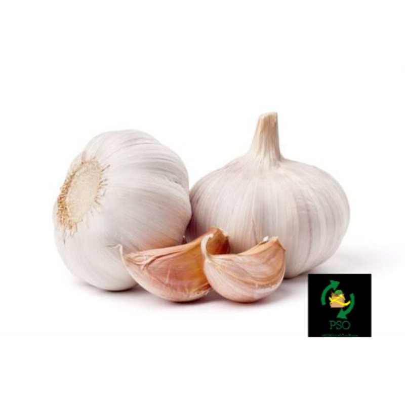 

BAWANG PUTIH /250 GR