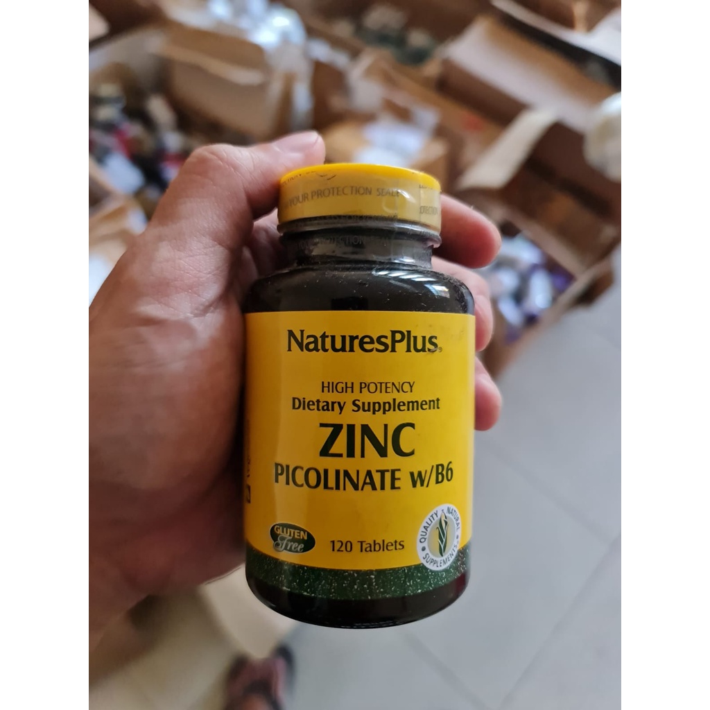 Natures Nature's Plus ZINC PICOLINATE W B6 isi 120 tablet