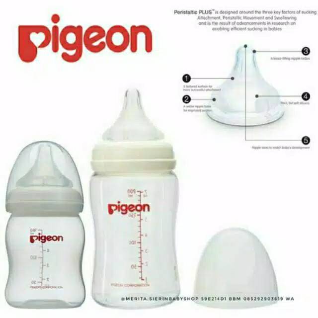 Botol wideneck pigeon/botol dot pigeon