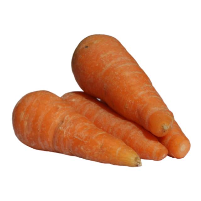 

WORTEL SEGAR 1KG
