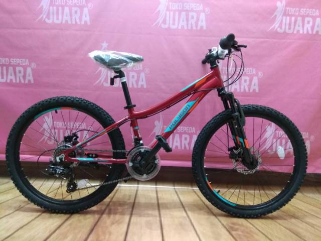 polygon 24 inch mountain bike