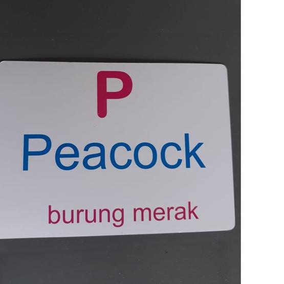 ➽ Flashcard Kartu Pintar ANIMAL ALPHABET ★