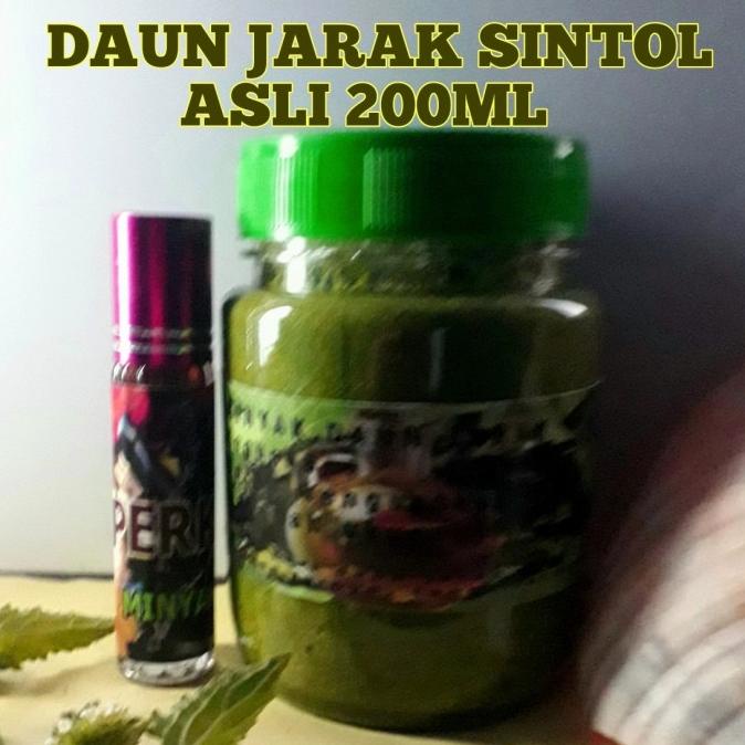 

BISA BAYAR DITEMPAT minyak daun jarak sintol 100ml HARGA TERBAIK