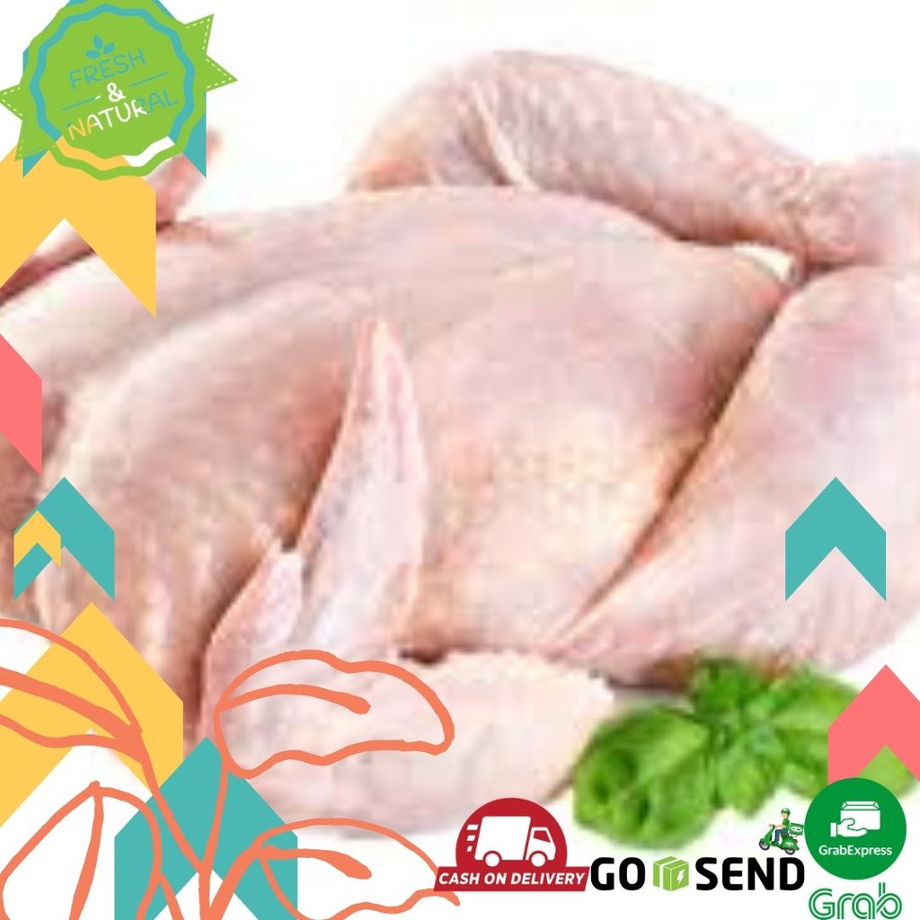 

AYAM KAMPUNG 1 EKOR/AYAM KAMPUNG SEGAR CHERILSTORE