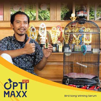 Vitamin Burung Optimaxx - Serum Gacor Suplemen Penggacor Suara Lovebird Murai Batu - Kicau Mania