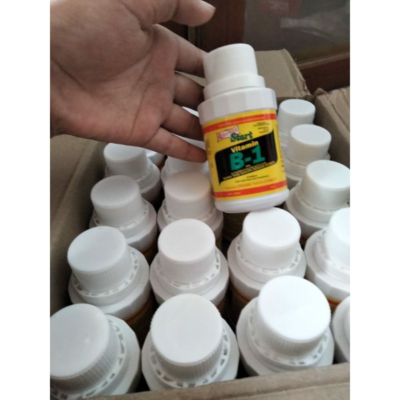 vitamin  b1 liquinox