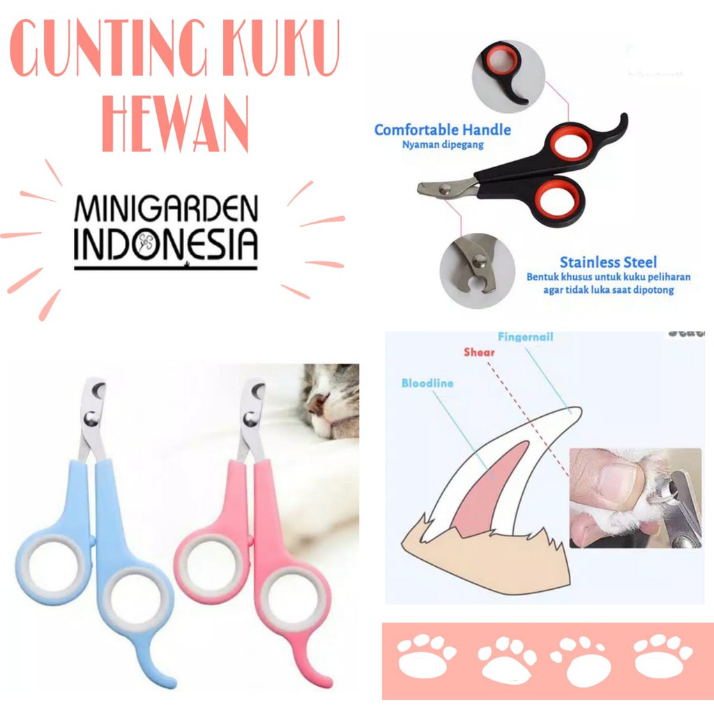 GUNTING KUKU HEWAN ANJING KUCING pet nail clipper stainless steel pet scissors grooming medium size