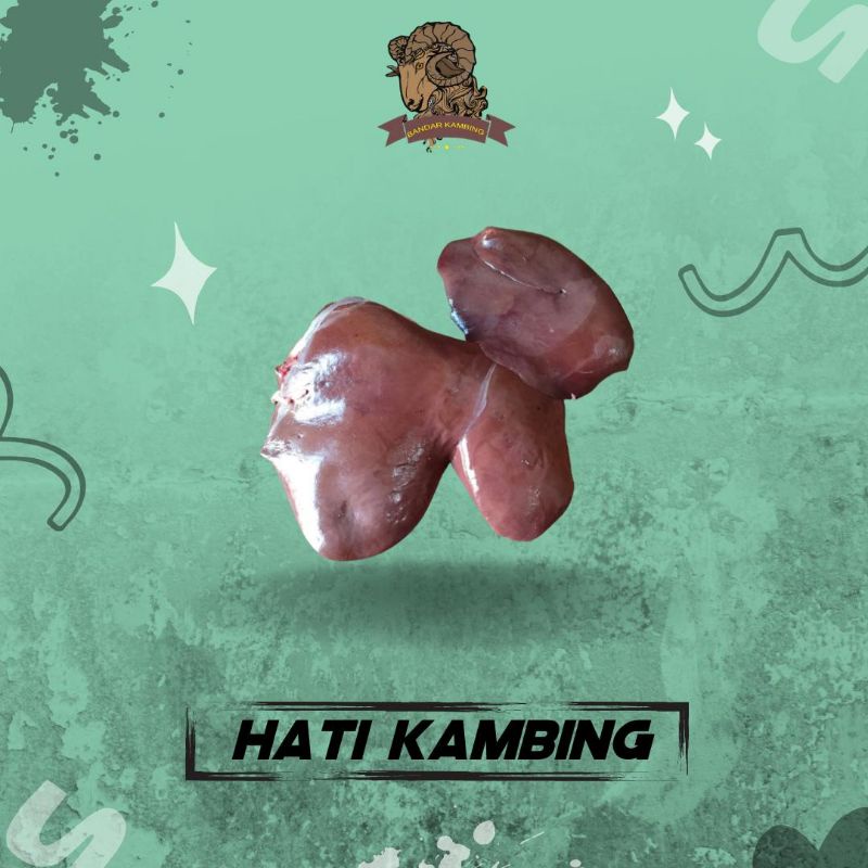 

hati kambing segar