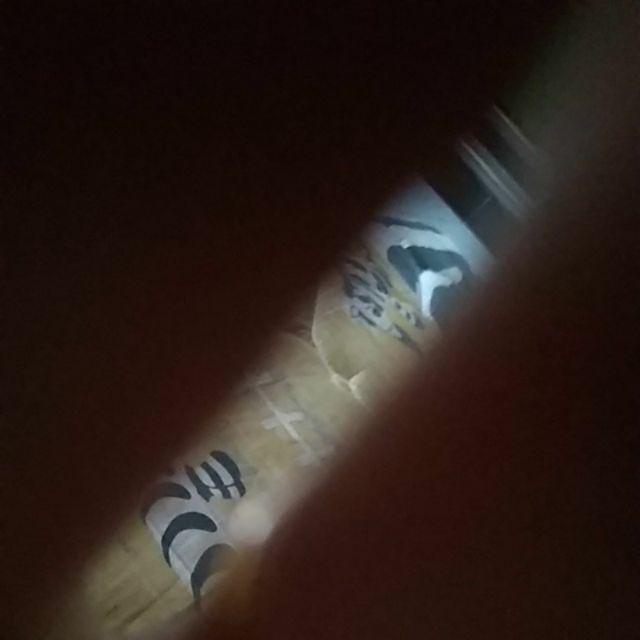 Meat Grinder Maestro Atau Mesin Penggiling Daging 302 / Gilingan Daging Elektrik