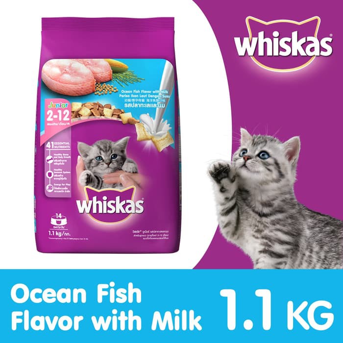 Whiskas Junior Ocean Fish 1.1kg  Makanan Kering Anak Kucing