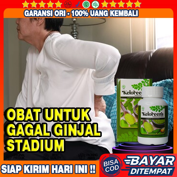 Obat Gagal Ginjal Stadium Lanjut, Obat Gagal Ginjal, Obat Ginjal Akut, Obat Ginjal