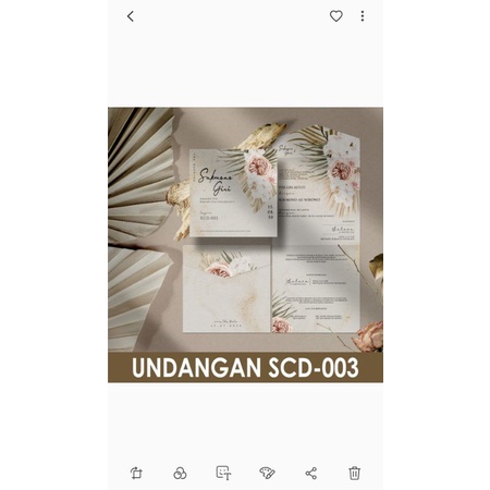 blangko und scd 003 free ucpn