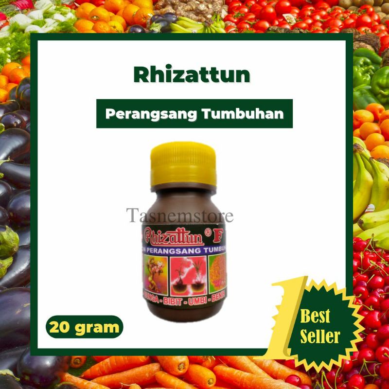 Rhizattun F Hormon Perangsang Akar Untuk Tumbuhan Bunga Buah Tanaman Hias Stek Batang Aglonema Tunas