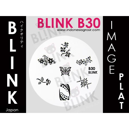 BLINK Image Plate  B22 - B33