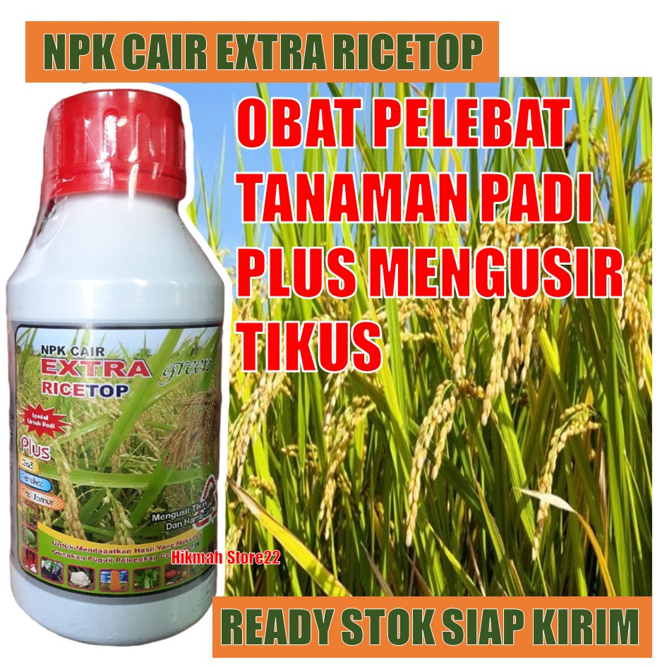 COD RICE TOP 500 ML Merangsang Pertumbuhan Pada Tanaman Padi Sekaligus Mengusir Hama Tikus Pada Padi