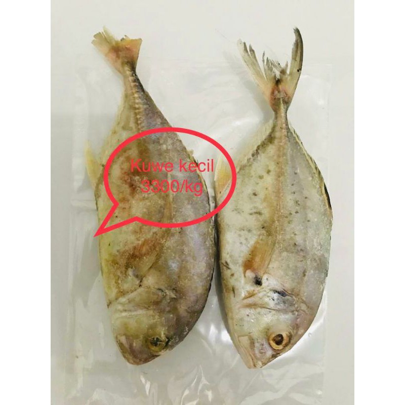 

ikan beku
