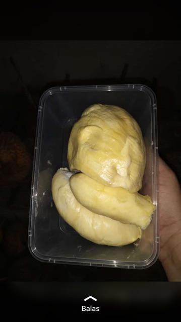 Kemucing Tarik Microfiber Cendol Kemoceng Bisa Di Panjangkan Serbaguna