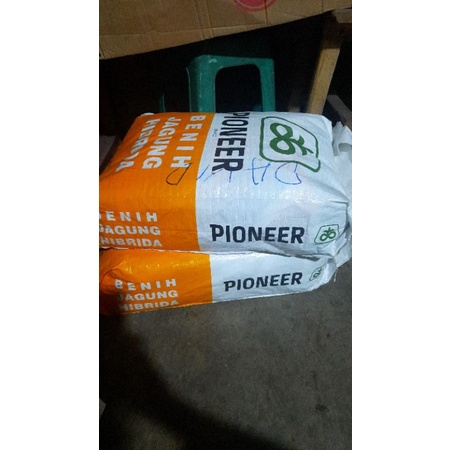 pioner p32 benih jagung hibrida