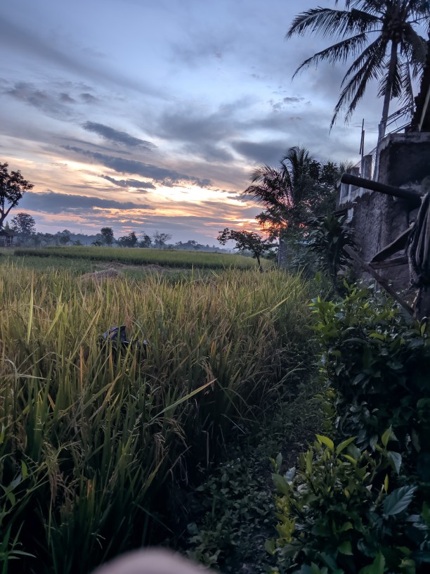 Baju Gamis Sarimbit Couple Keluarga Kondangan Gamis Muslim Syari Pasangan Suami Istri Pesta