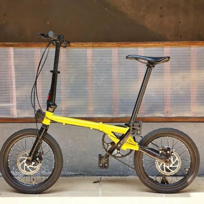 Frame Fork Custom Fnhon Troy Dahon