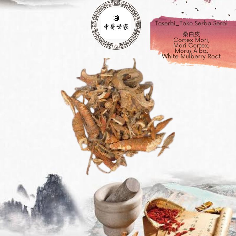 

100gr 桑白皮 Sang Bai Pi Cortex Mori Cortex Morus Alba White Mulberry Root