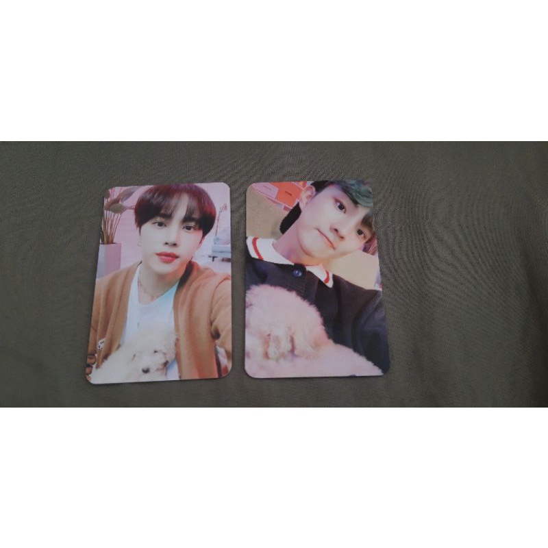 [booked] wd guguk sunkyu