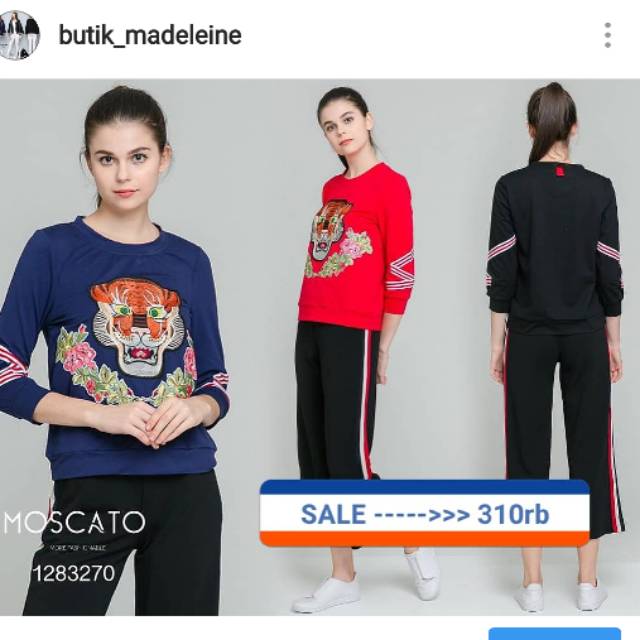 Moscato atasan wanita 1283270