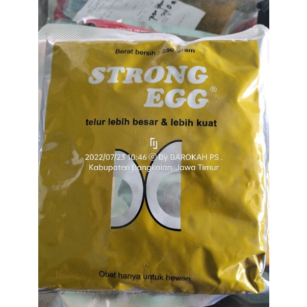 STRONG EGG 250 G perangsang telur ayam petelur