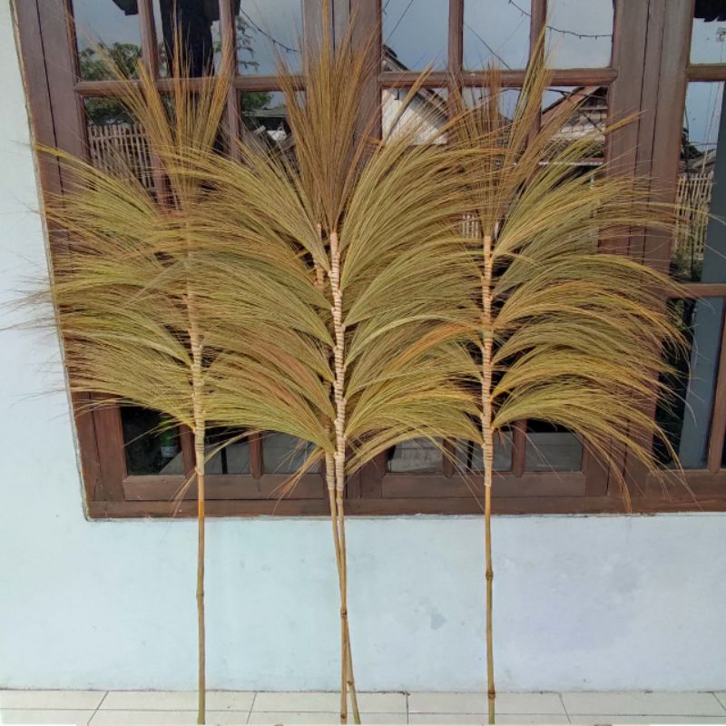 Pampas Rayung Stik Kering Dekorasi Kuwalitas oke..