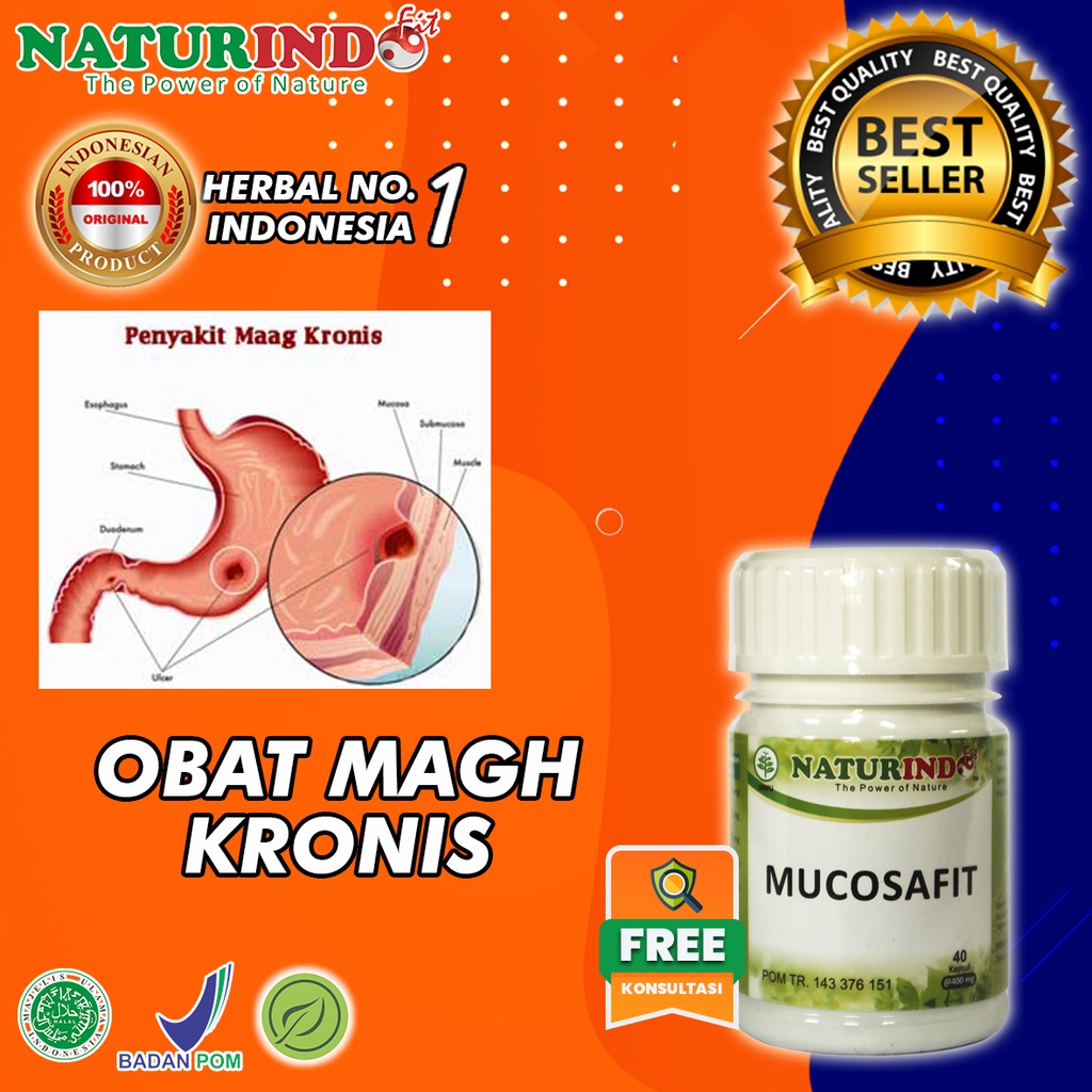 Obat Maag Obat Maag Kronis Ampuh Obat Maag Asam Lambung Obat Maag Herbal Obat Maag Kronis-3