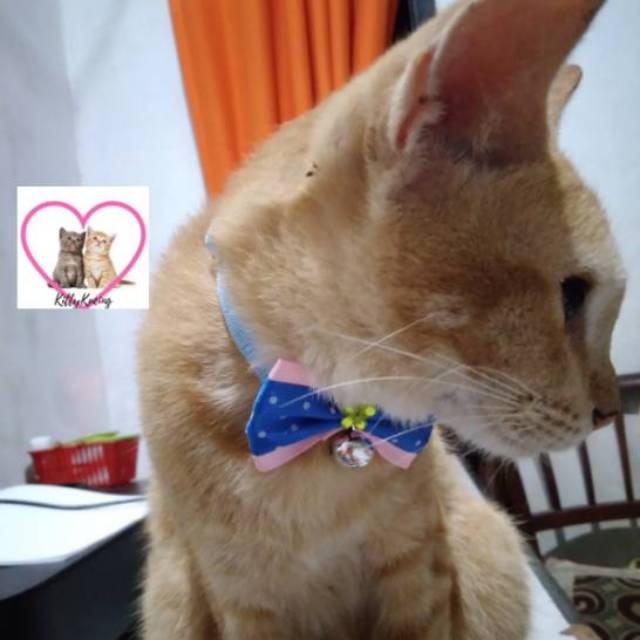 Kalung Motif Kalung Rantai Kalung Pita Kucing Anjing Kelinci Lonceng Bulat