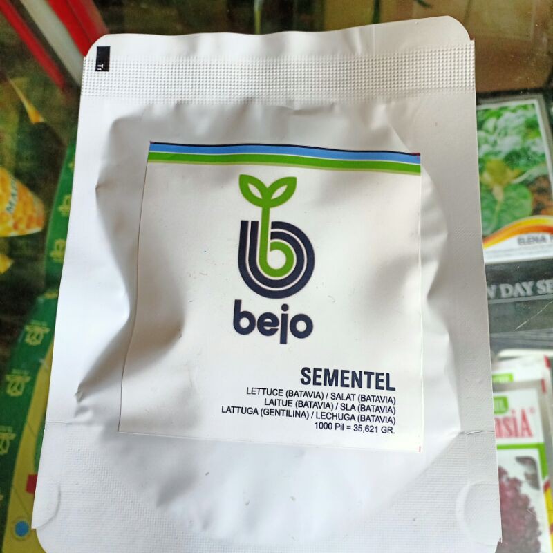 benih lettuce sementel bejo import isi kemasan 1000 pills