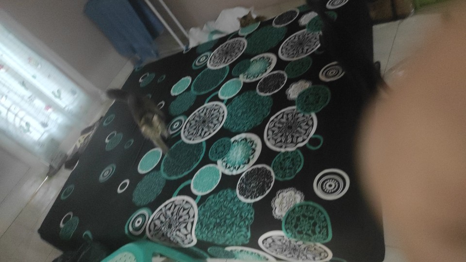 Kasur Inoac Yukata 200x160x30 Garansi 15 Tahun