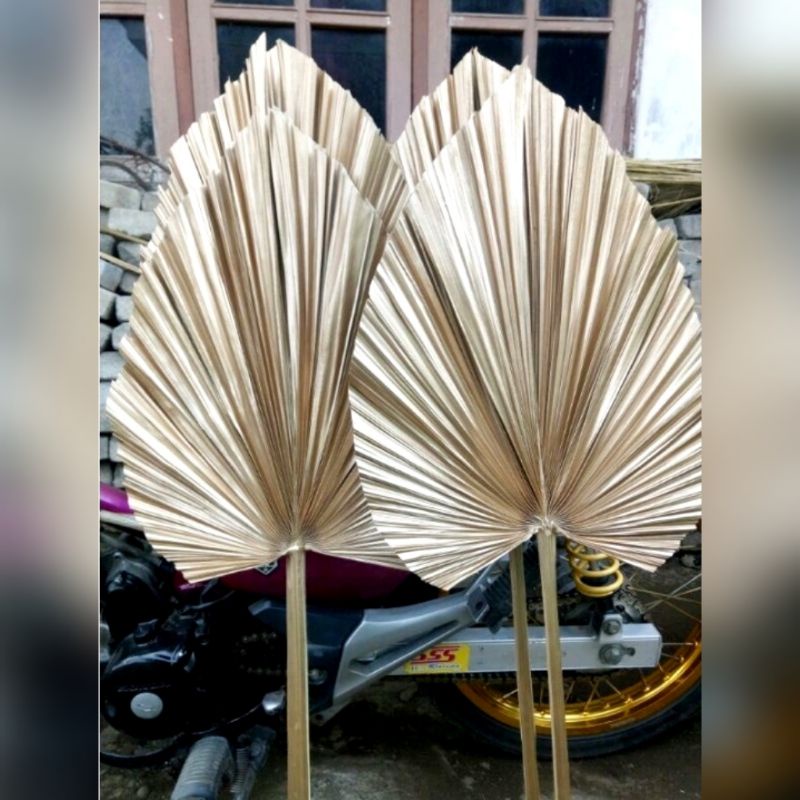DAUN PALEM GOLD | DEKORASI | RUSTIC