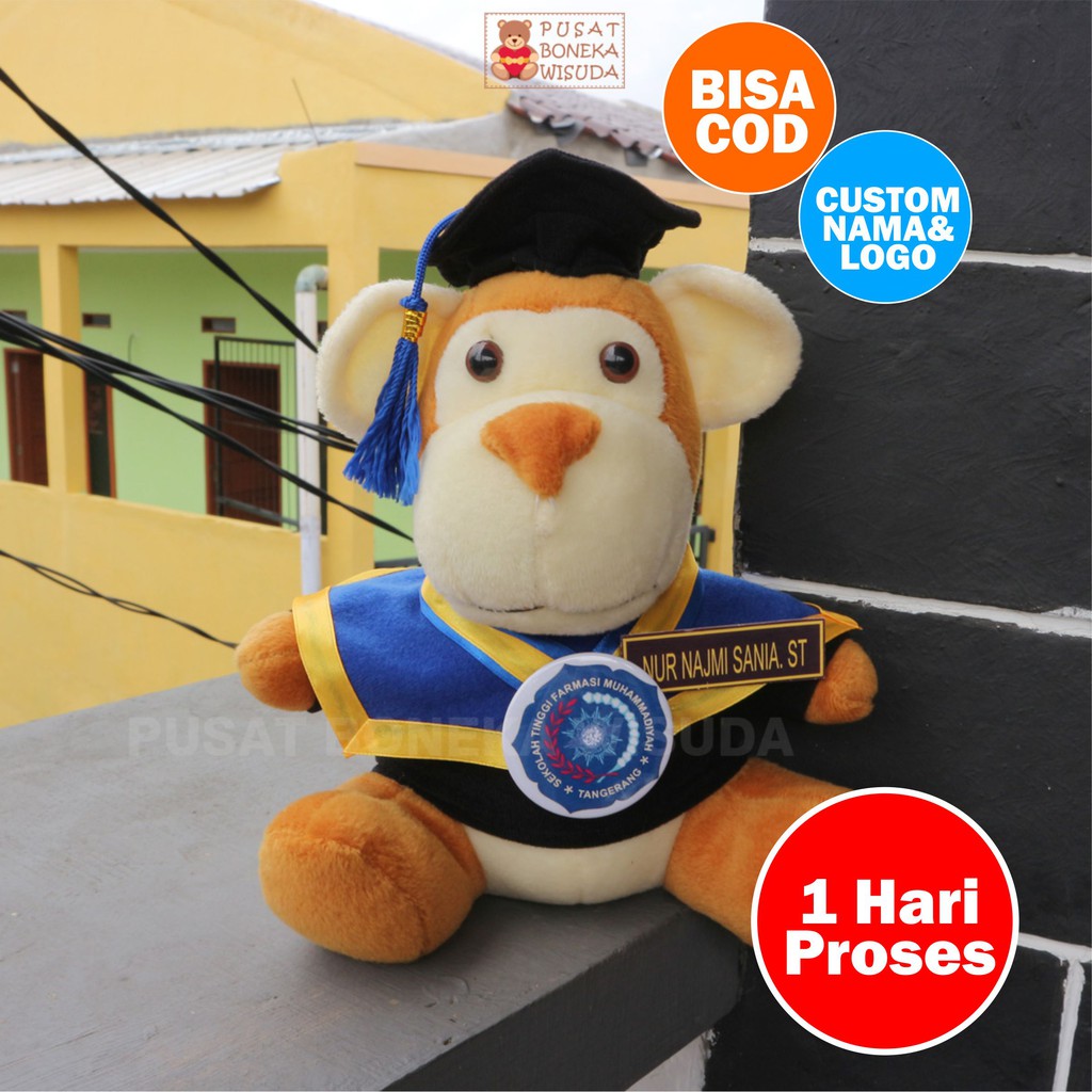 Boneka Wisuda Monkey Pria Cowo Cute Monyet Kera Kado Wisuda Hadiah Sidang skripsi Murah Laki laki