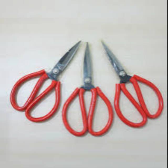 

Gunting kodok#gunting serbaguna#gunting tajam