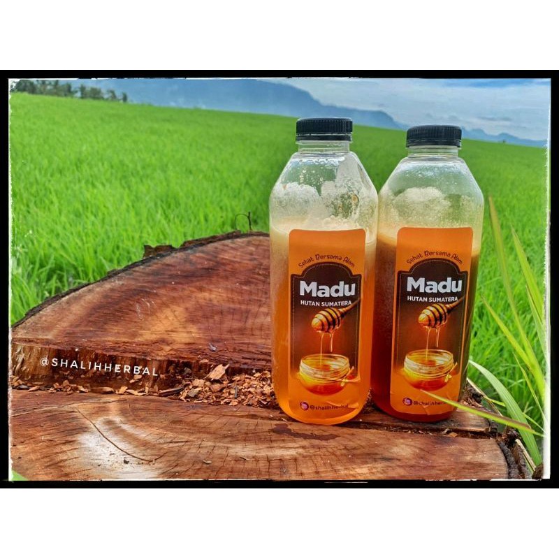 

Madu Asli | Madu Murni Lebah Apis Dorsata Murni Nektar Shalih Herbal